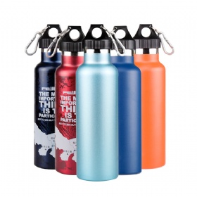 narrow mouth 600ml vacuum flask insulated stainless steel water bottle with loop lid and hook