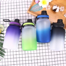 Wholesale 500ml Sublimation Blanks Frost Gradient Drinkware plastic Water Bottles Suppler Manufacturing