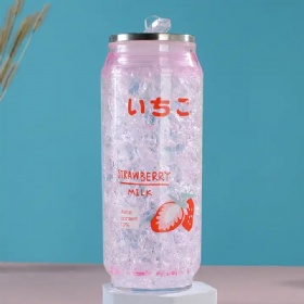 Personalized Creative Double Wall Plastic Acrylic Sublimation Soda Beer Pop Can Tumbler With Foldable Straws
