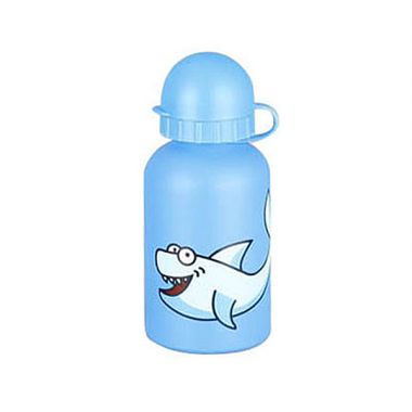 AB-210 Aluminum water bottle